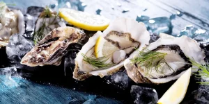 ALTR_Austern_AS_106133769